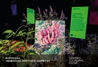 CCF_2024_EXPO_Nocivas2