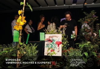 CCF_2024_EXPO_Nocivas3