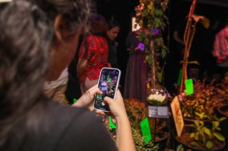 VenenosasNocivaseSuspeitas  