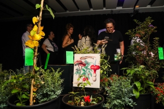 VenenosasNocivaseSuspeitas  