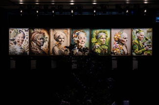 VenenosasNocivaseSupeitas